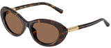 Dolce Gabbana Sunglasses DG4519 502/73