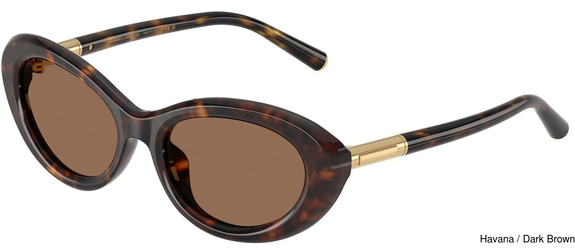 Dolce Gabbana Sunglasses DG4519 502/73