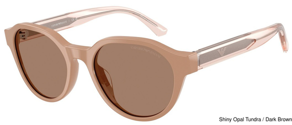 Emporio Armani Sunglasses EK4008U 638473