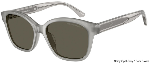 Emporio Armani Sunglasses EK4009U 638693