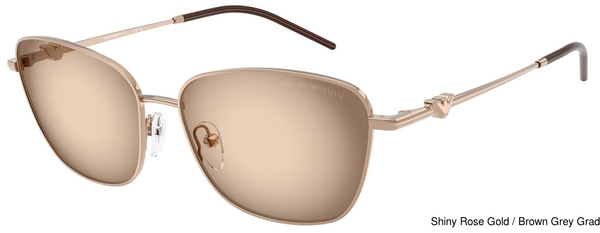 Emporio Armani Sunglasses EA2170 301113