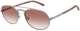 Emporio Armani Sunglasses EA2171 30038D