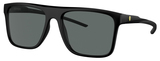 Black / Polarized Grey