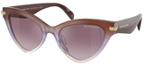 Michael Kors Sunglasses MK2259U Roanoke 40366X