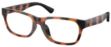 Polo Prep Eyeglasses PP8555U 5177