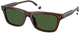 Shiny Transparent Brown / Dark Green