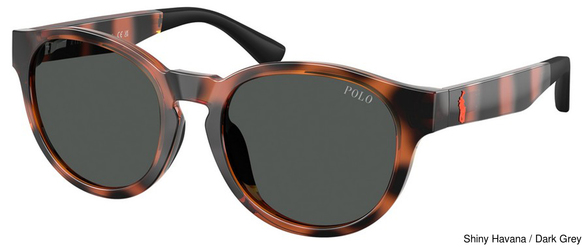 Polo Prep Sunglasses PP9512U 597487