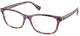 Violet Havana / Transparent / Clear
