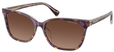(Ralph) Ralph Lauren Sunglasses RA5348U 6303T5