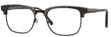Sferoflex Eyeglasses SF1154 C650