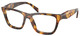 Honey Tortoise - Clear