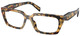 Medium Havana - Clear
