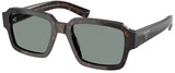 Prada PR 02ZS 17N20N