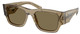 Bark - Light Brown