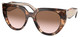 Caramel Tort - Powder - Brown Grad