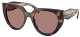 Prada PR 14WS 23A60B