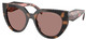 Mauve Tortoise - Light Brown