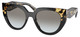 Black - Tortoise - Grey Gradient