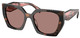 Mauve Tortoise - Light Brown