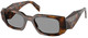 Juniper Tortoise - Grey