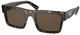 Tortoise - Dark Brown