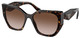 Tortoise - Brown Gradient