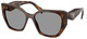 Juniper Tortoise - Grey