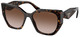 Tortoise - Brown Gradient