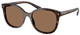 Root Tortoise - Dark Brown
