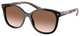 Black - Brown Gradient