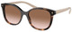Caramel Tortoise - Brown Gradient