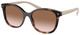 Caramel Tortoise - Brown Gradient