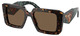 Tortoise - Dark Brown