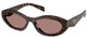Root Tortoise - Light Brown