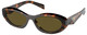 Honey Tortoise - Dark Brown