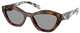 Juniper Tortoise - Grey