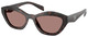 Root Tortoise - Light Brown