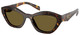 Root Tortoise - Dark Brown