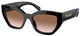 Briar Tortoise - Dark Brown