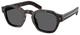 Root Tortoise - Dark Grey