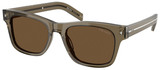 Transp Terra - Dark Brown