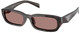 Root Tortoise - Light Brown
