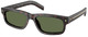 Root Tortoise - Polarized Green