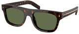 Root Tortoise - Polarized Green