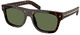 Root Tortoise - Polarized Green