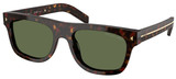 Root Tortoise - Polarized Green