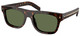Root Tortoise - Polarized Green