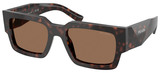 Root Tortoise - Dark Brown