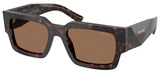 Root Tortoise - Dark Brown