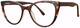 Brown Tortoise - Clear